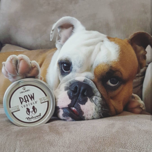paw soother to protect dog paws