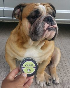 bulldog wrinkle balm