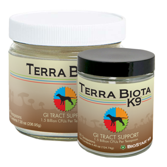 Biostar Terra Biota K9 01.png