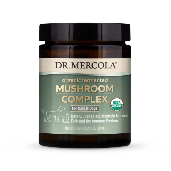 Dr Karen Becker Organic Fermented Mushroom Complex 01.jpg