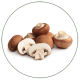 Agaricus Mushrooms