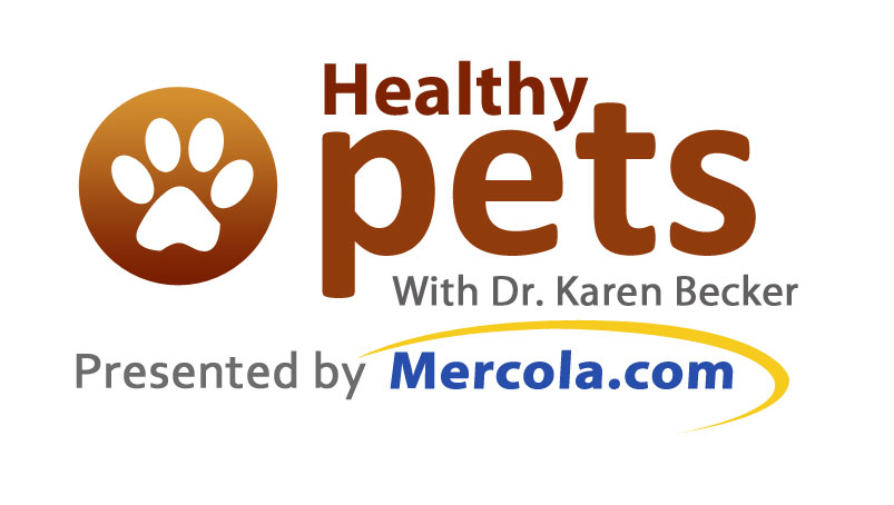 Mercola Healthy Pets Logo.jpg