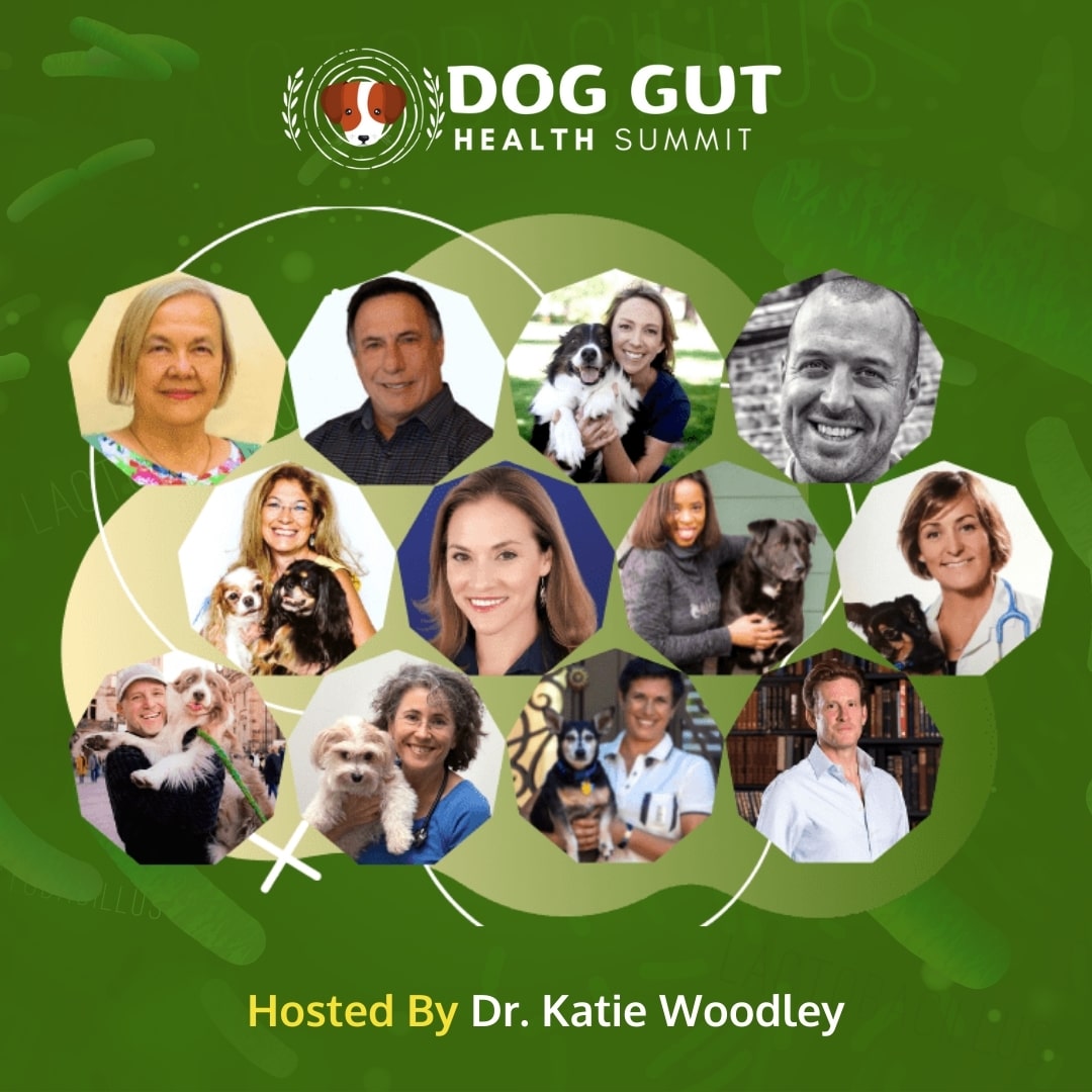 Dog Gut Health Summit.jpg