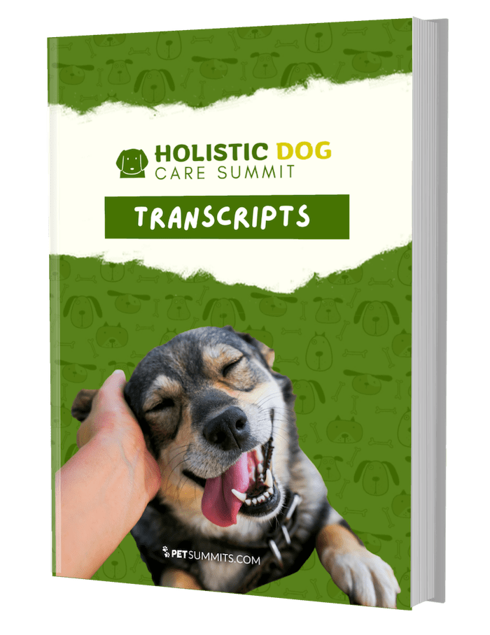 holistic-transcripts-cover-3d-min