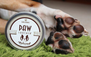 Boxer-paws-moisturized-300x189.jpeg