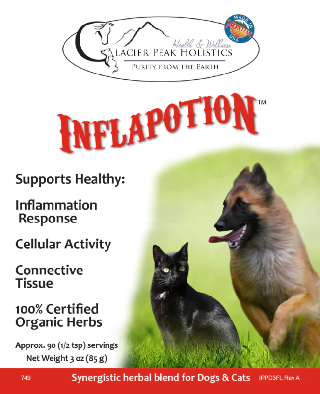 Glacier Peak-Inflapotion-Dog 006