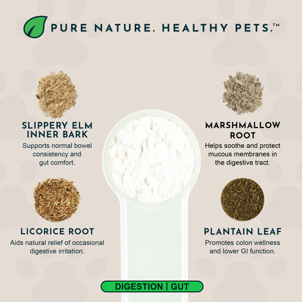 Animal Essentials - Colon Rescue Powder 08