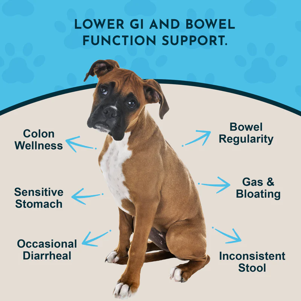 Animal Essentials - Colon Rescue Powder 07