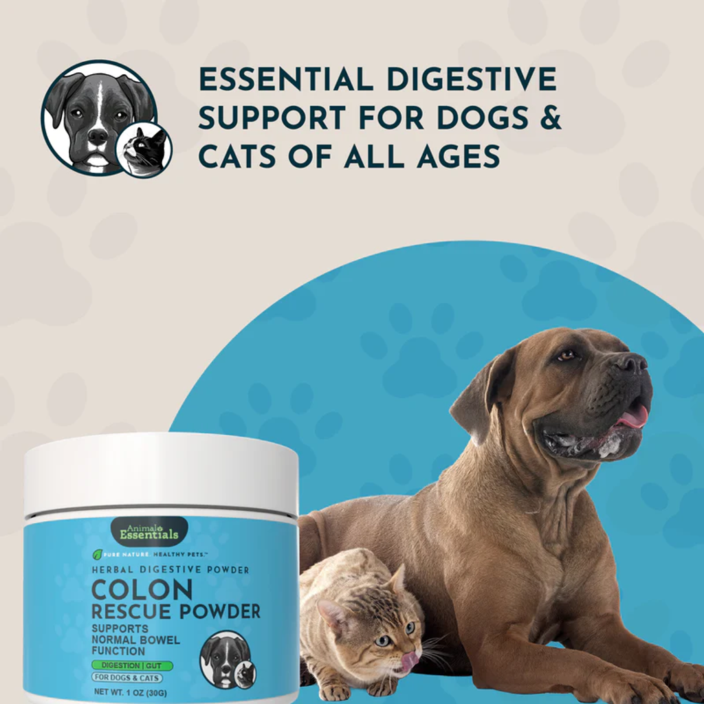 Animal Essentials - Colon Rescue Powder 12