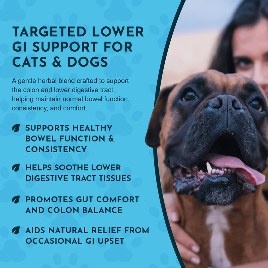 Animal Essentials - Colon Rescue Powder 10