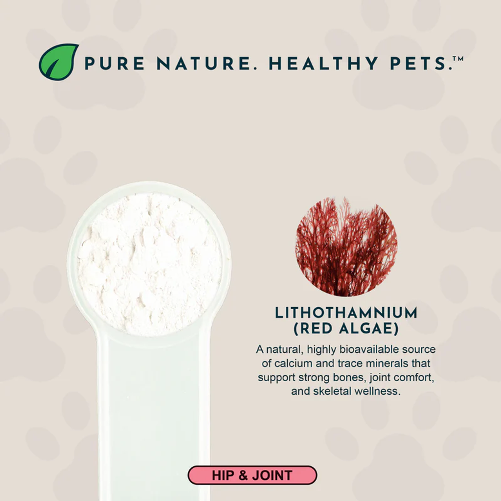 Animal Essentials - Seaweed Calcium 06