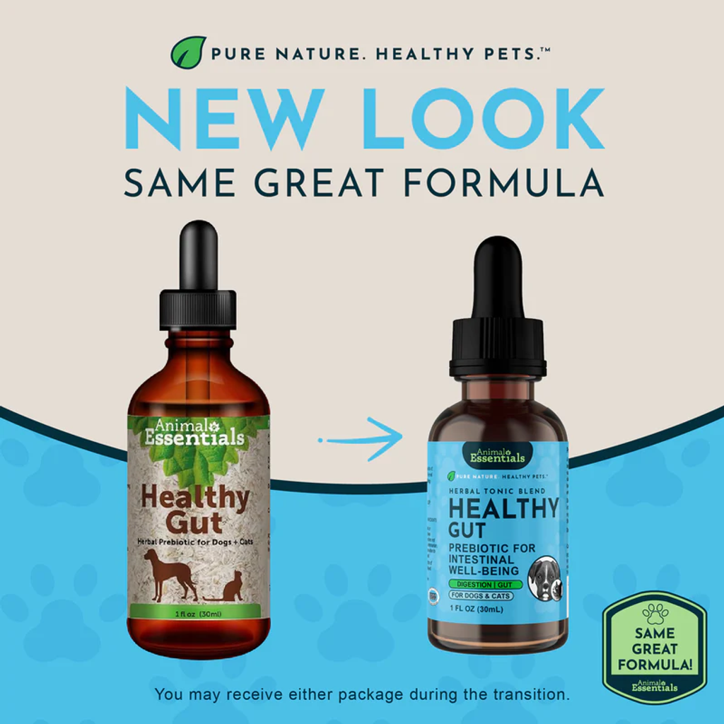 Animal Essentials - Healthy Gut 06