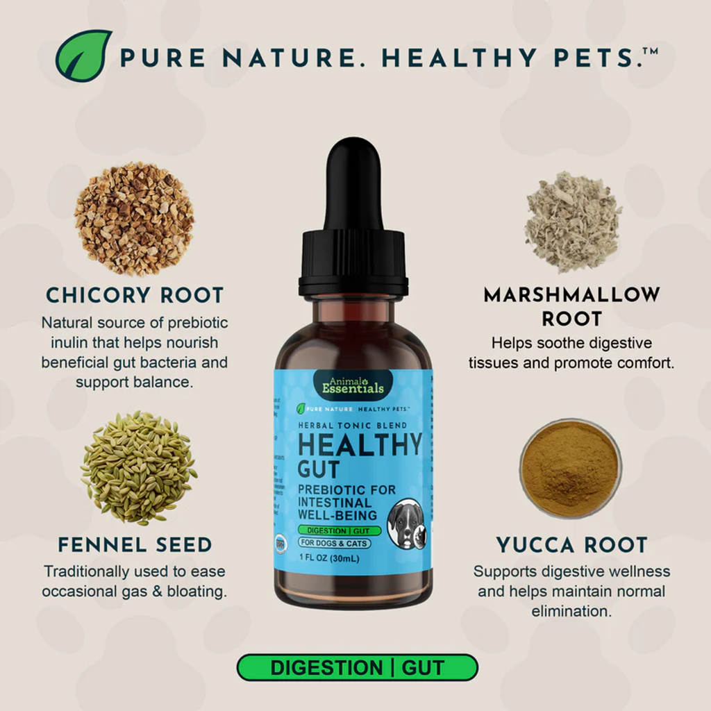Animal Essentials - Healthy Gut 08