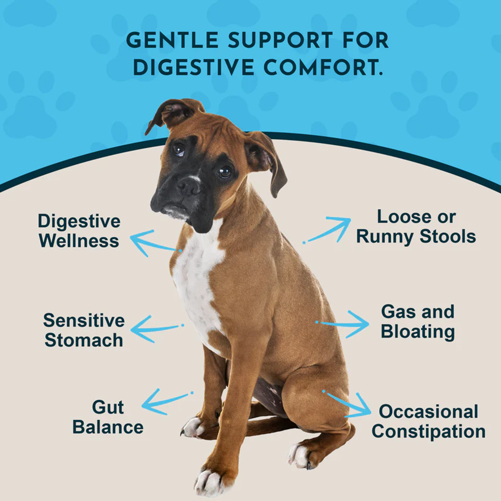 Animal Essentials - Healthy Gut 07