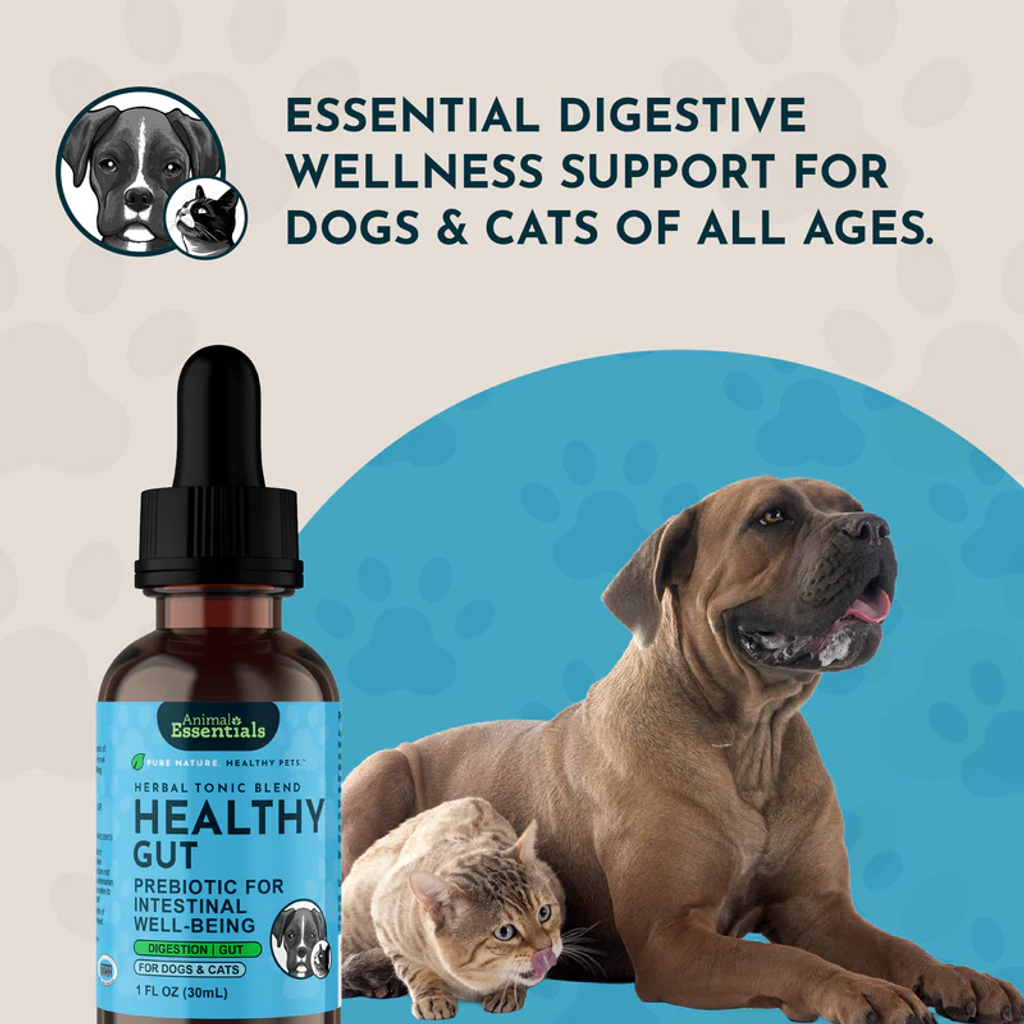 Animal Essentials - Healthy Gut 12