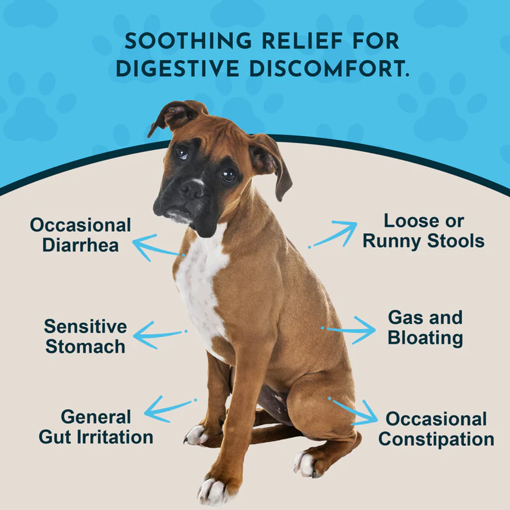 Animal Essentials - Slippery Elm 03