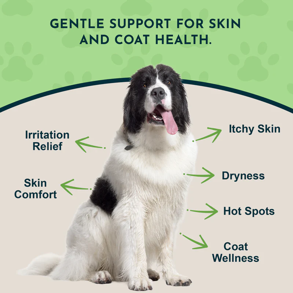 Animal Essentials - Fidoderm Herbal Spray 05