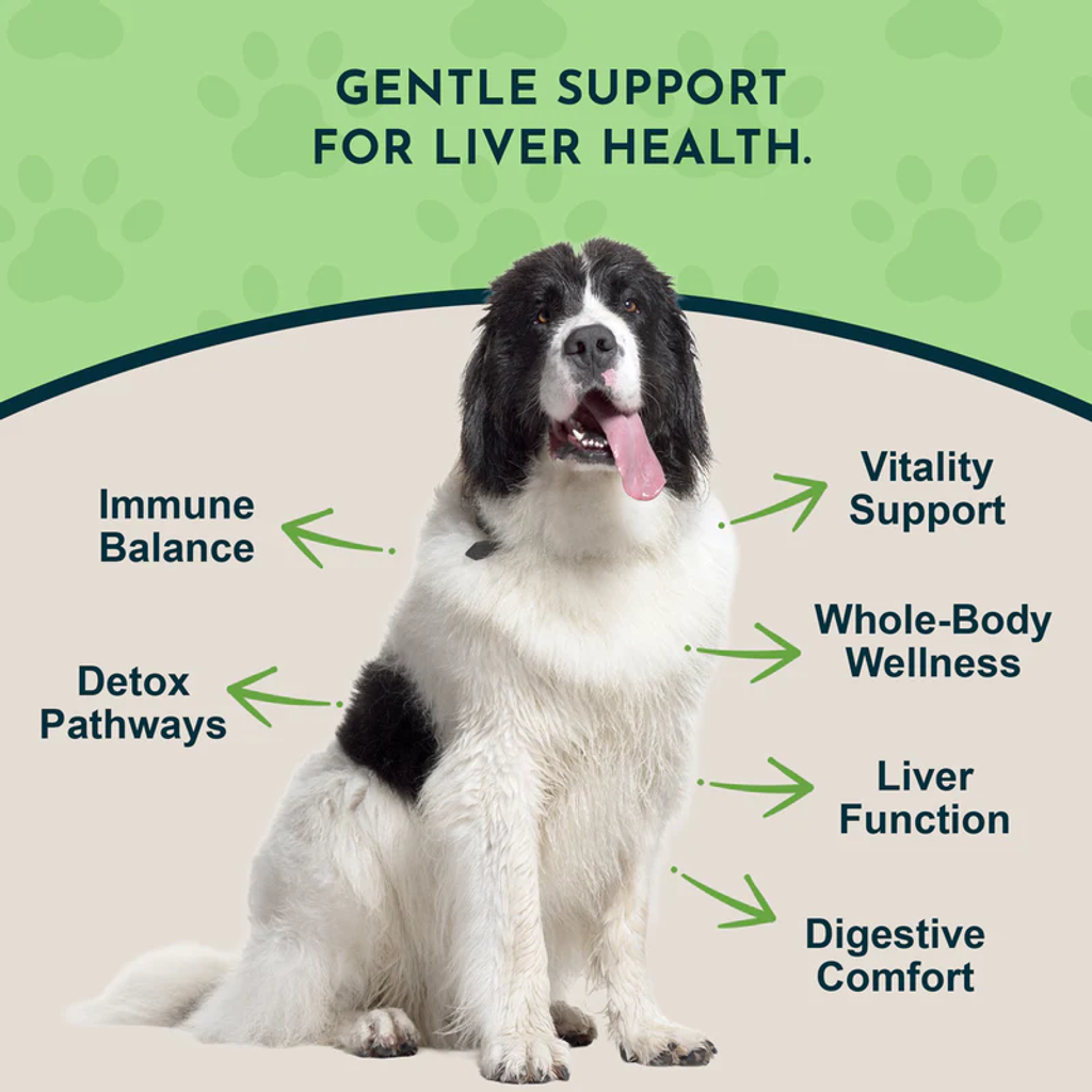 Animal Essentials - Liver Defense_03