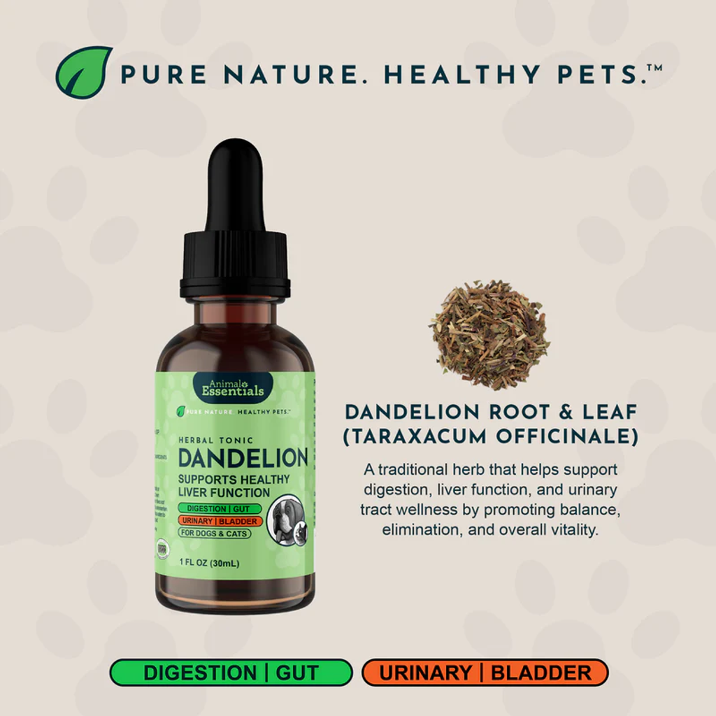 Animal Essentials - Dandelion Herbal_04
