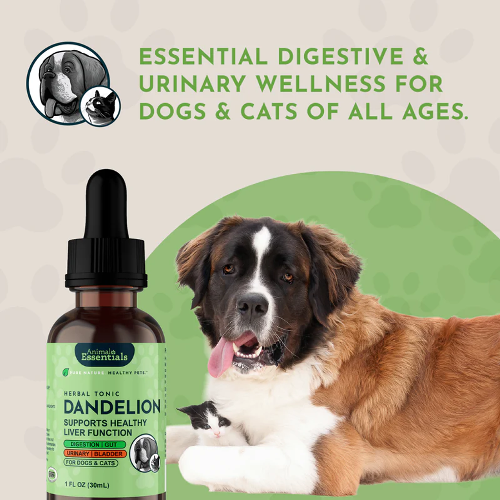 Animal Essentials - Dandelion Herbal_08