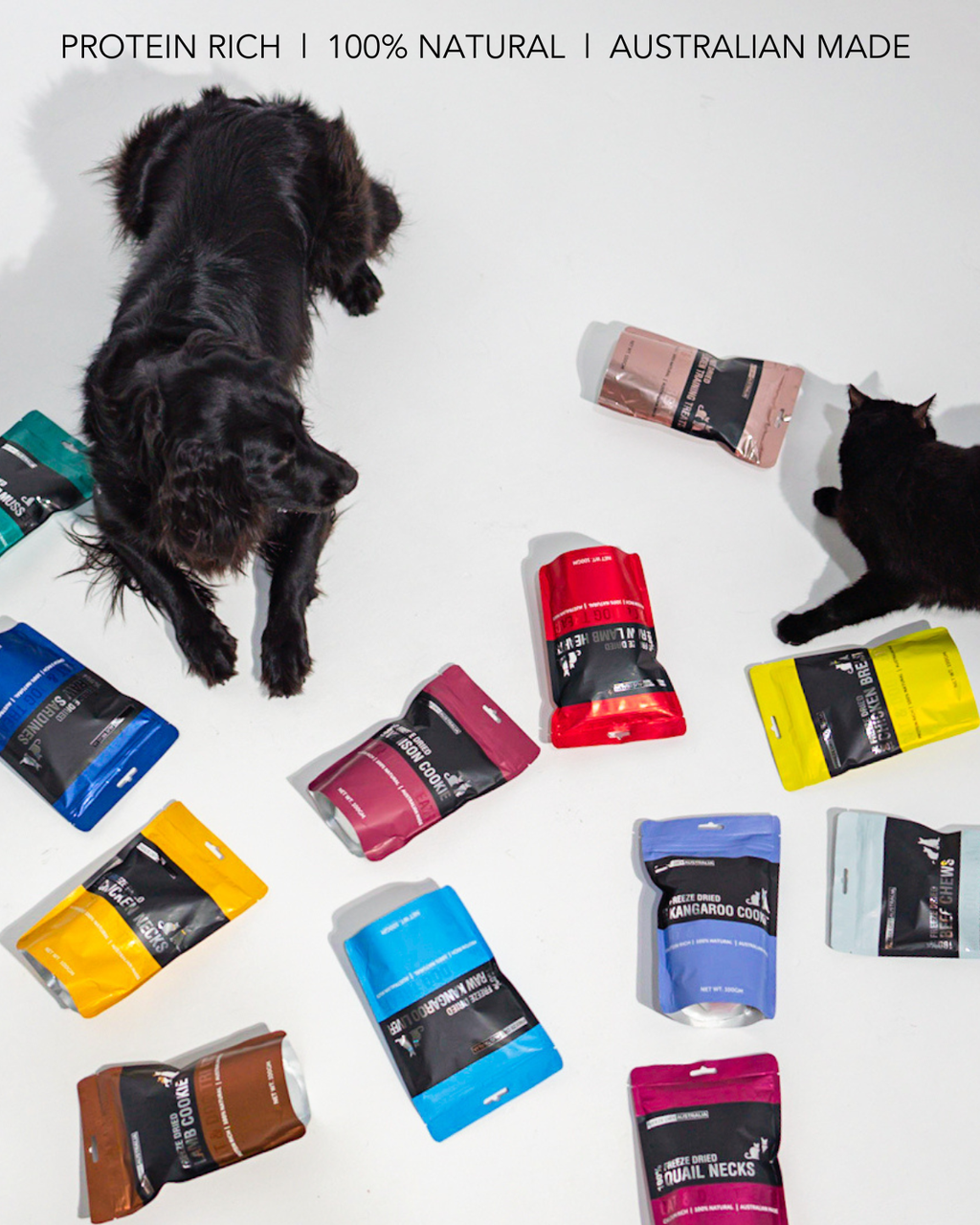 FDA Portrait Lifestyle Dog+Cat