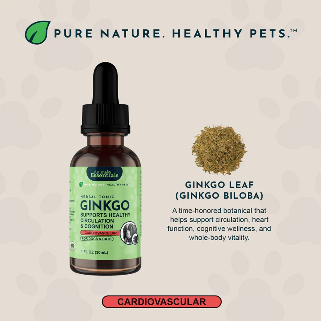 Animal Essential - Ginkgo 04