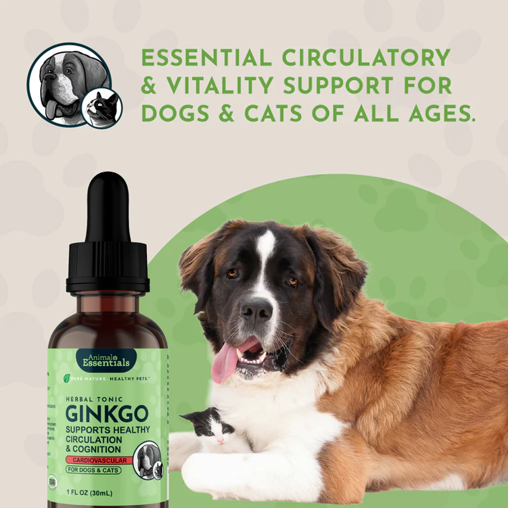 Animal Essential - Ginkgo 08