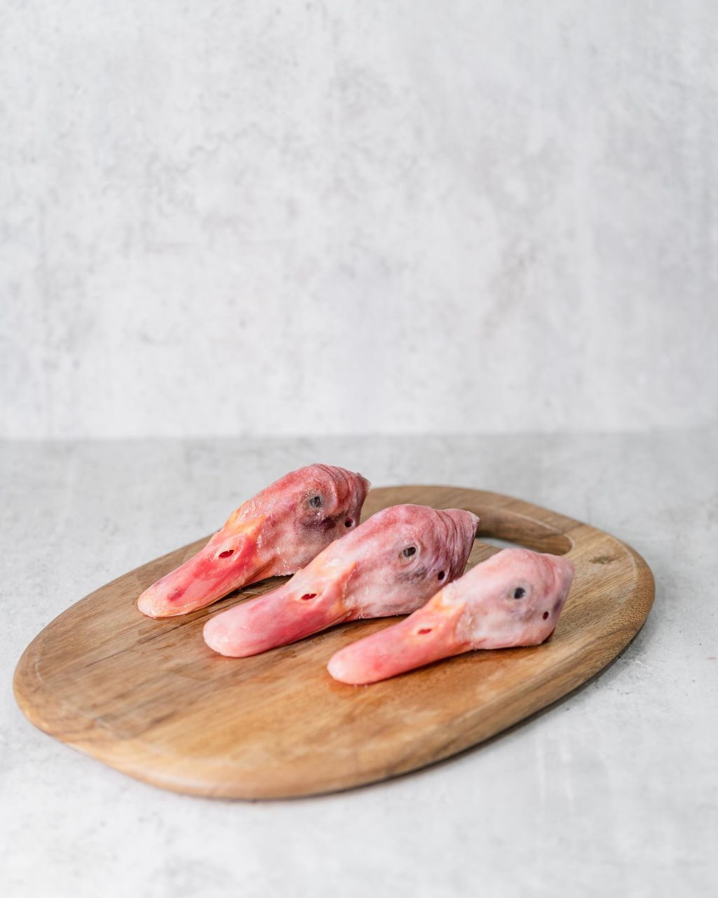 PAWFF_Duck Head 01