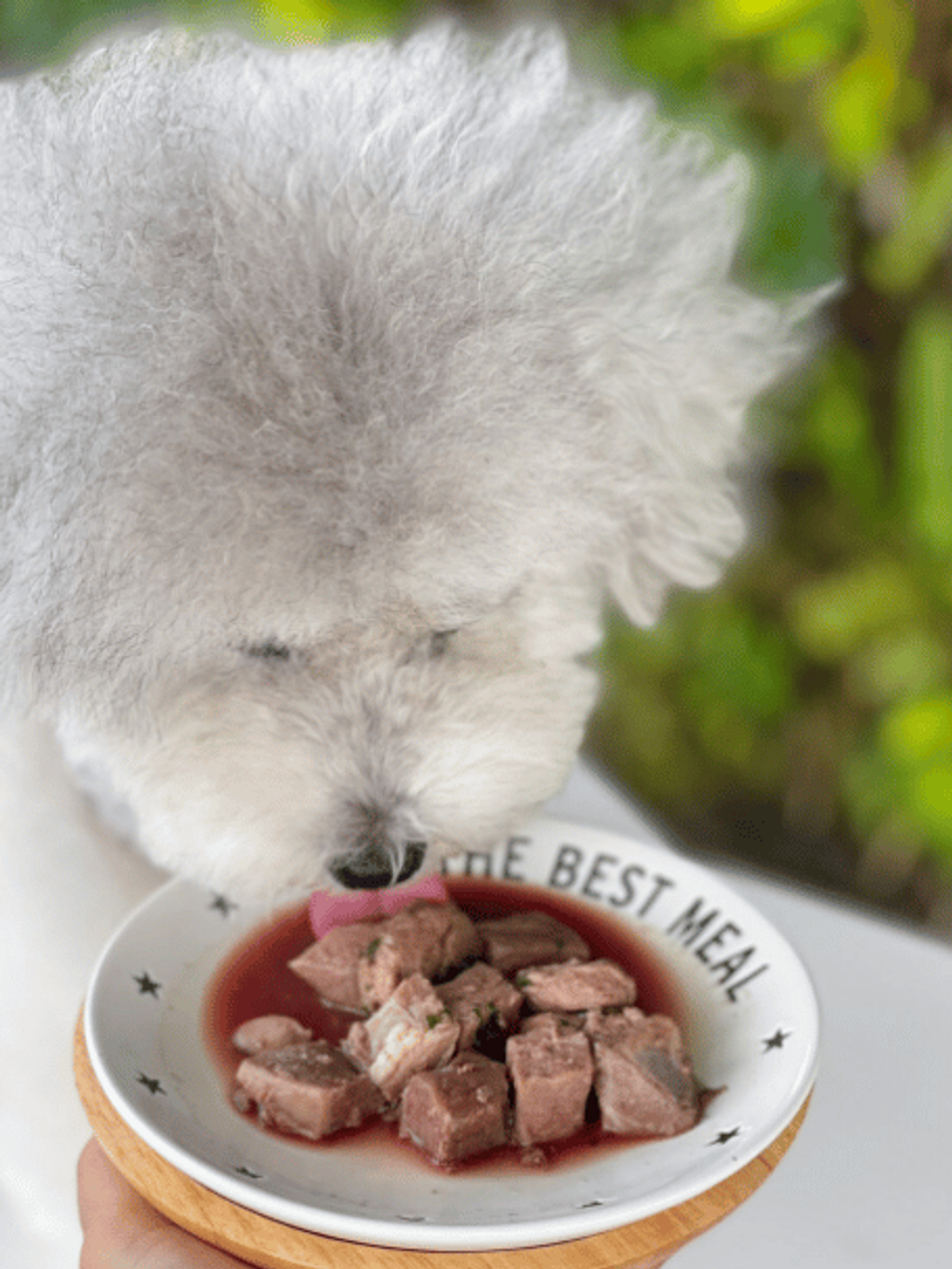 Bombom Singles Meals Sous Vide Meals 03
