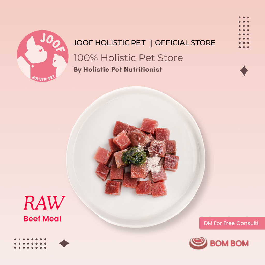 Bombom Singles Meals Raw Beef 03
