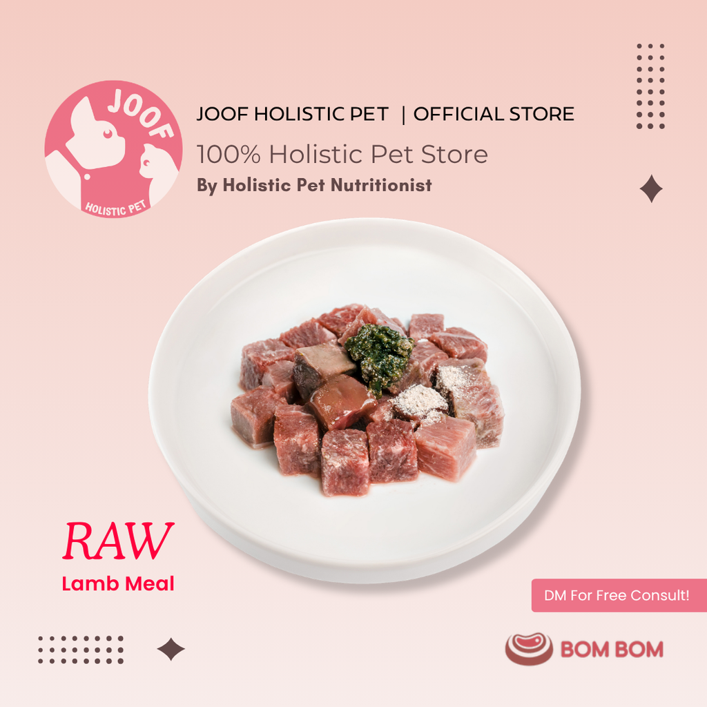 Bombom Singles Meals Raw Lamb 03