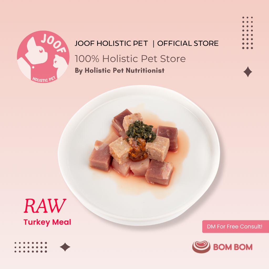 Bombom Singles Meals Raw Turkey 03