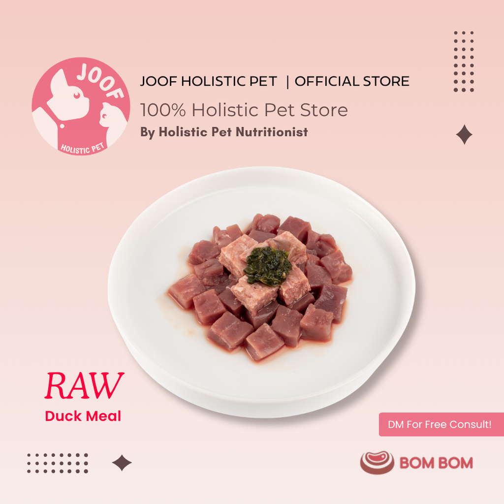 Bombom Singles Meals Raw Duck 03