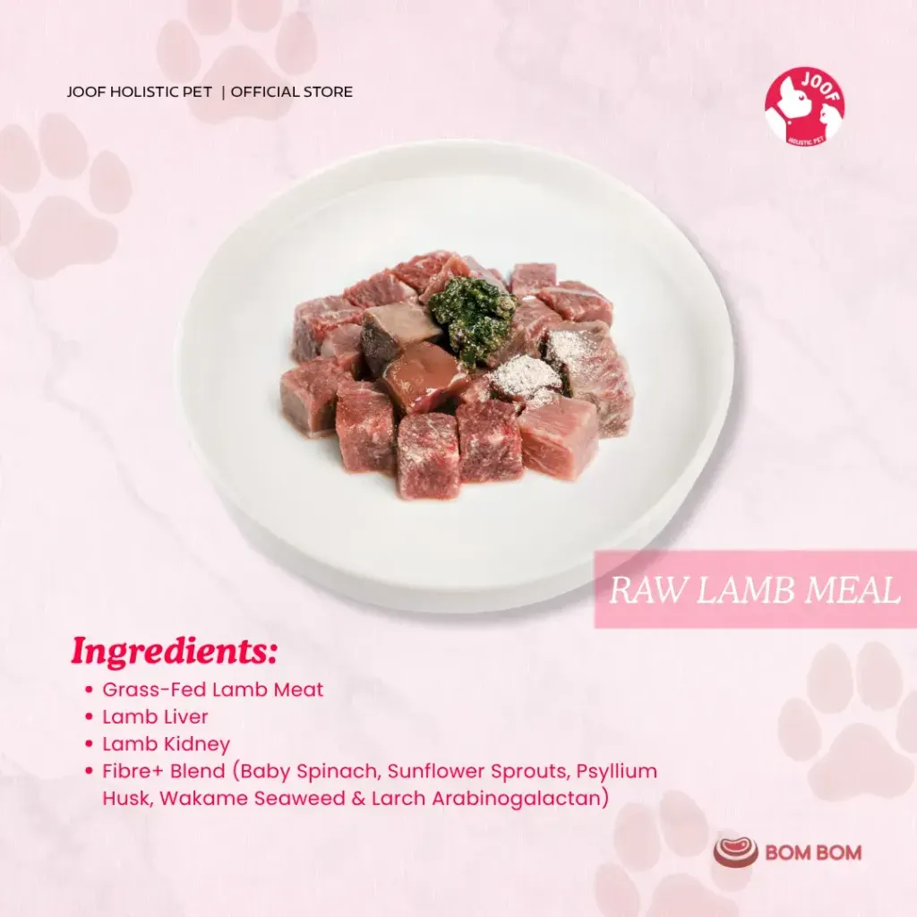 Bombom Singles Meals Raw Lamb 04