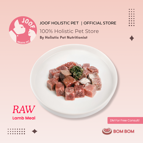 Bombom Singles Meals Raw Lamb 03