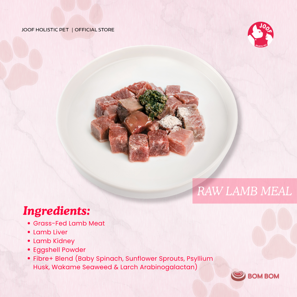 Bombom Singles Meals Raw Lamb 04