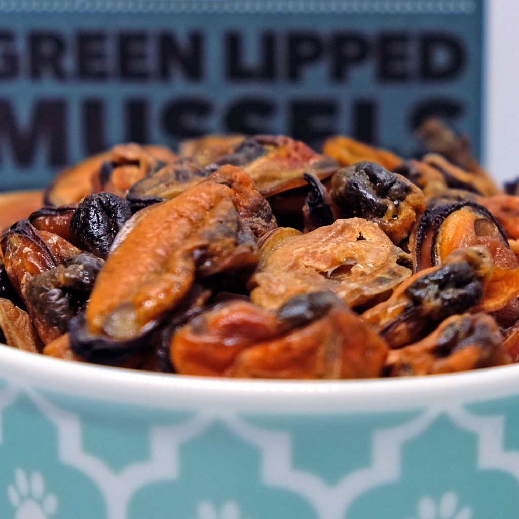 LPT Green Lipped Mussels 05.jpg