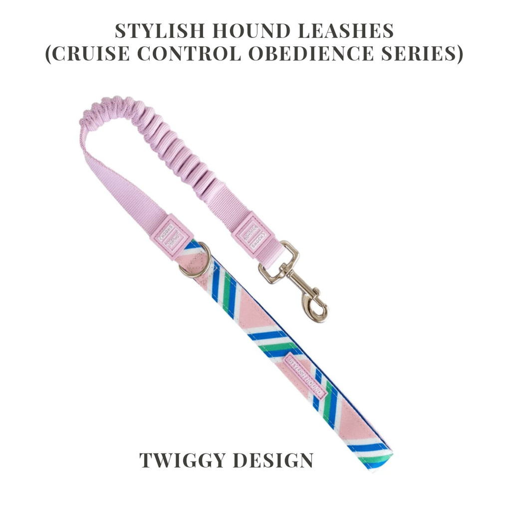 TWIGGY CRUISE CONTROL OBEDIENCE LEASH 02.png