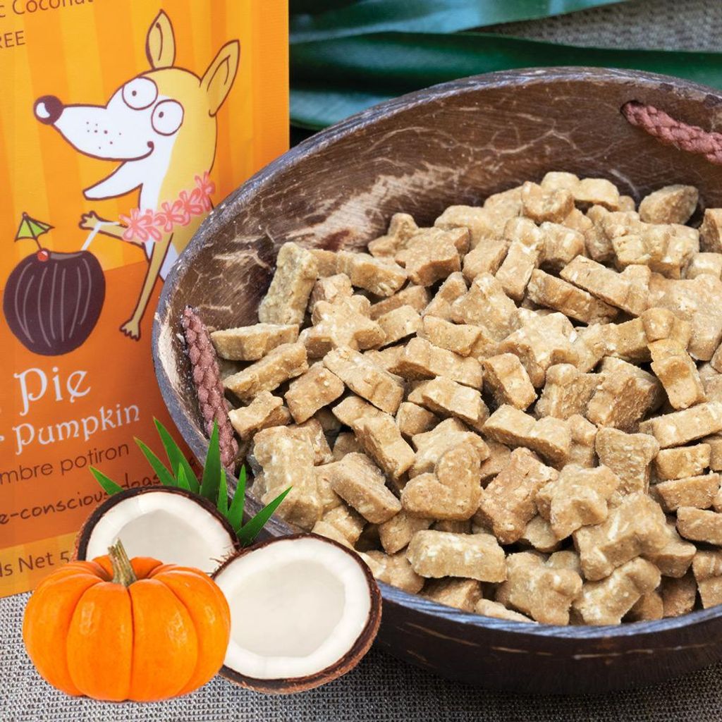 CocoTherapy Coco-Charms Training Treats Pumpkin Pie 03.jpg