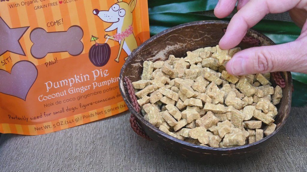 CocoTherapy Coco-Charms Training Treats Pumpkin Pie 05.jpg