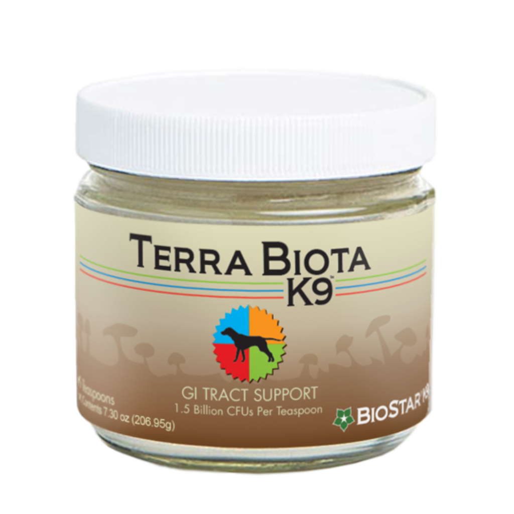 Biostar Terra Biota K9 03.png