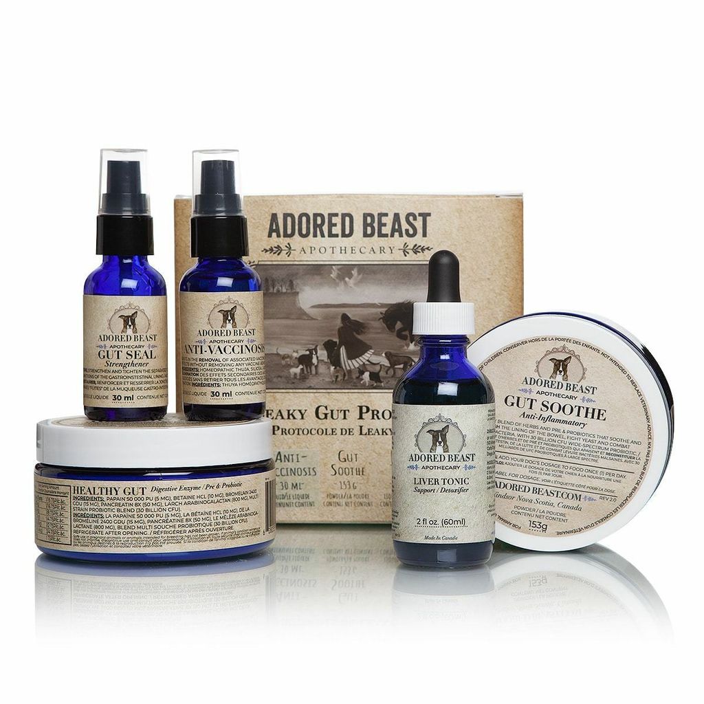 Adored Beast - Leaky Gut Protocol 05.jpg