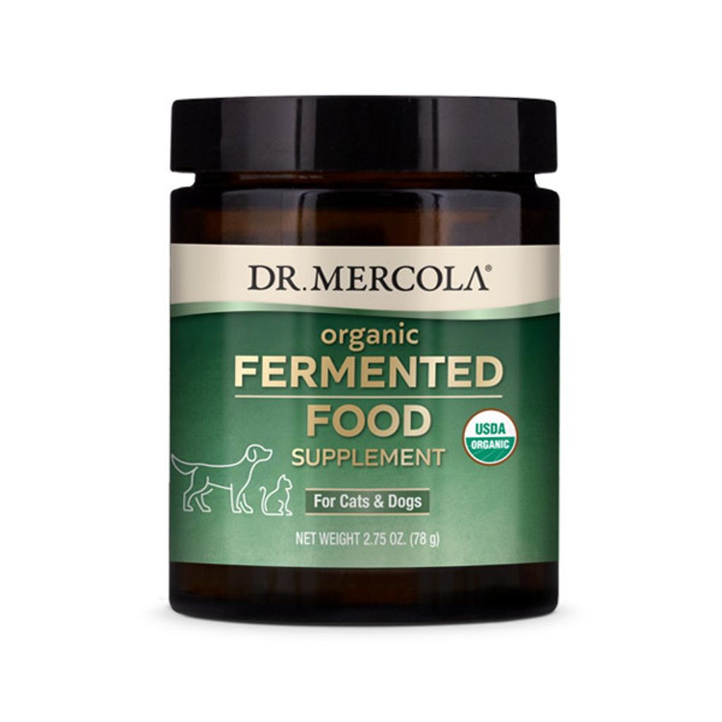 Dr Karen Becker Organic Fermented Food 01.jpg