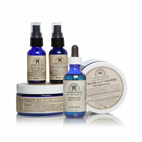 Adored Beast - Leaky Gut Protocol 01.jpg