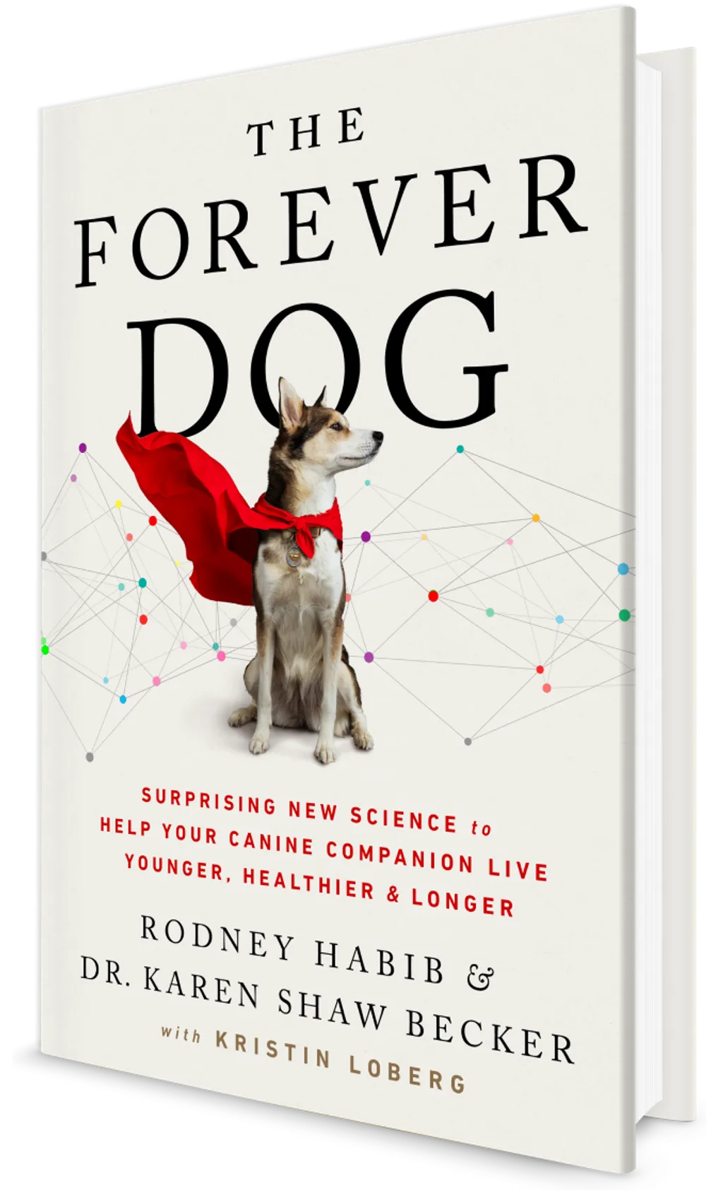 Forever Dog 01.png
