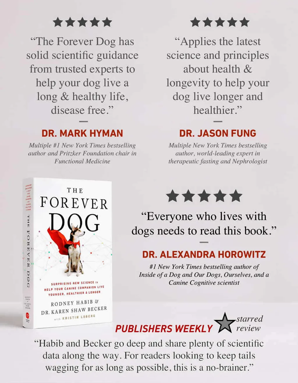 Forever Dog 07.jpg