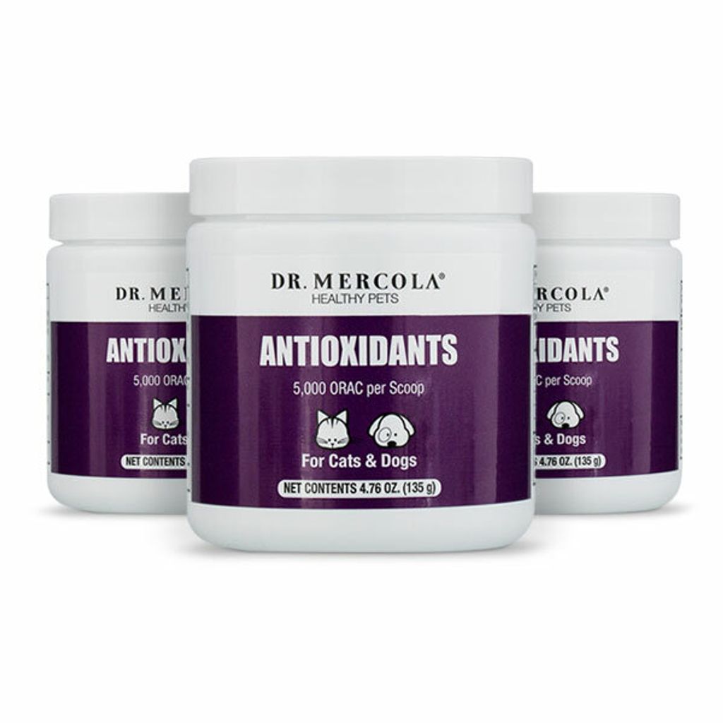 03. Antioxidants for Cats & Dogs.jpg
