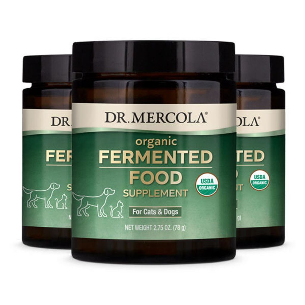 3 Jars Organic Fermented Food.jpg