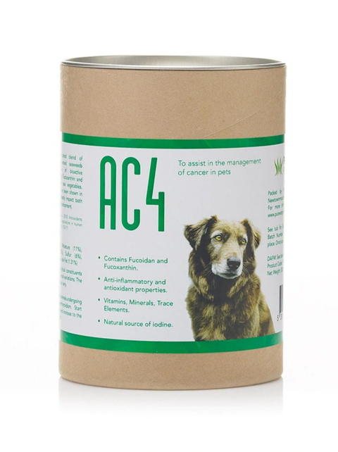 Dog's First - AC4 01.png