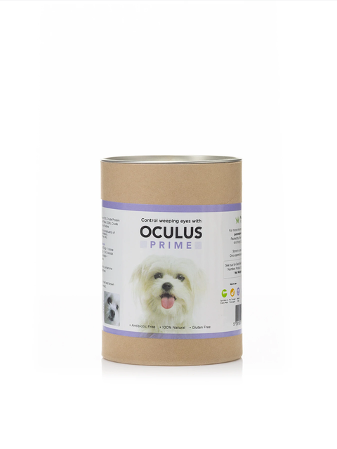 Dog's First - Oculus Prime 01.png